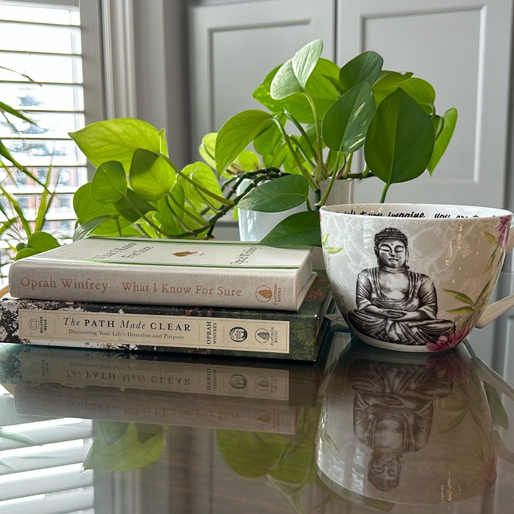 🌱 Oprah Book Bundle 🌱